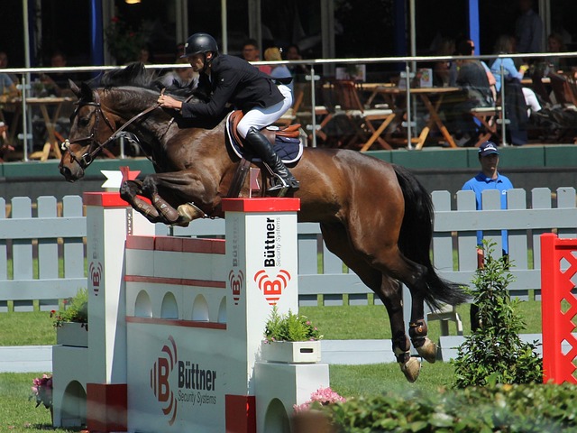 的节奏掌控 的节奏掌控