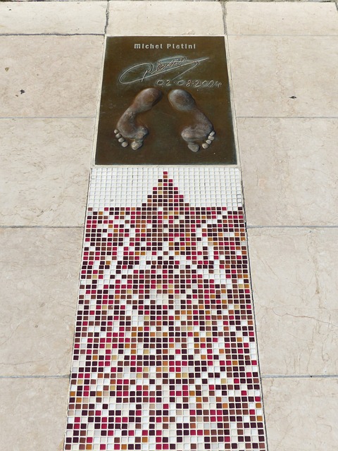 的关注和认 的关注和认