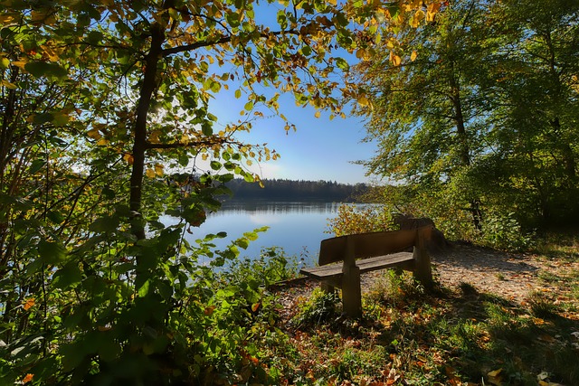 不禁让人怀 不禁让人怀