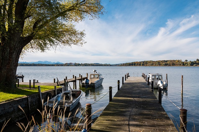 的化学反应 的化学反应