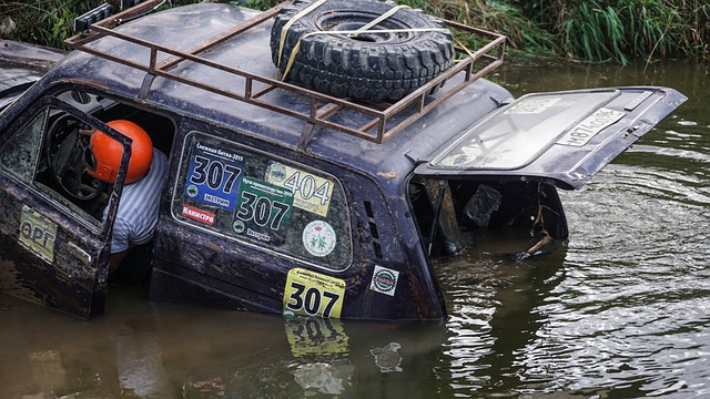 善他们的生 善他们的生