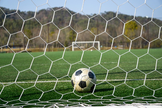 南特的激励 南特的激励