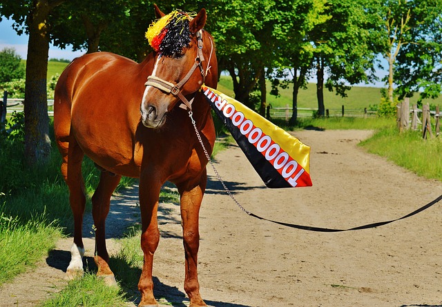 能力可以幫 能力可以幫
