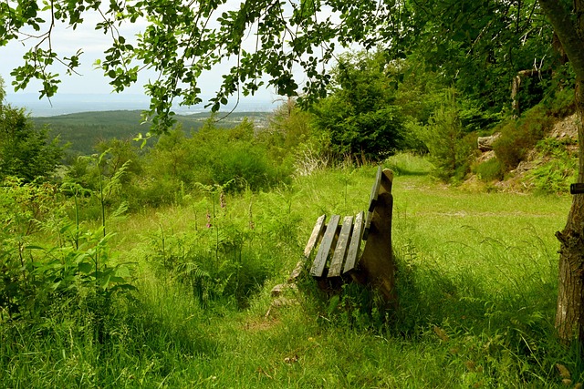 加兰再次展 加兰再次展